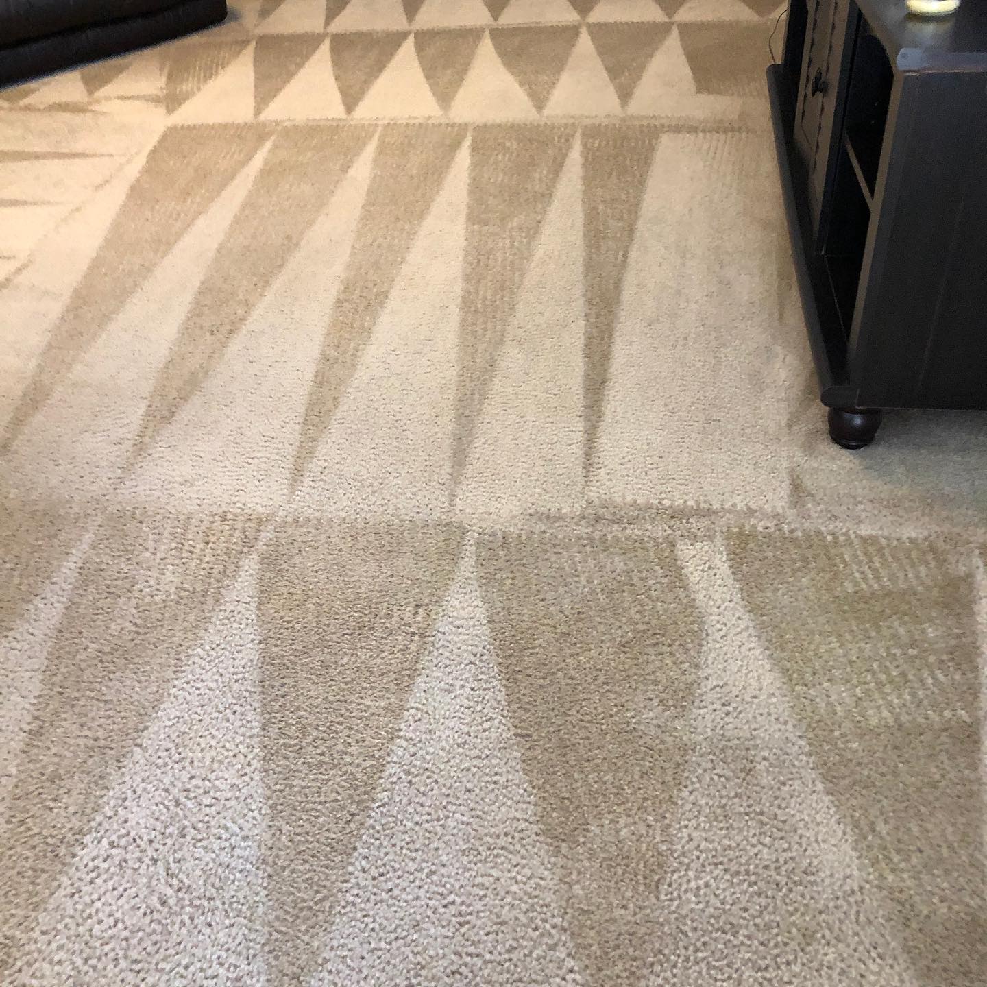 Freshly cleaned carpet with neat grooming lines