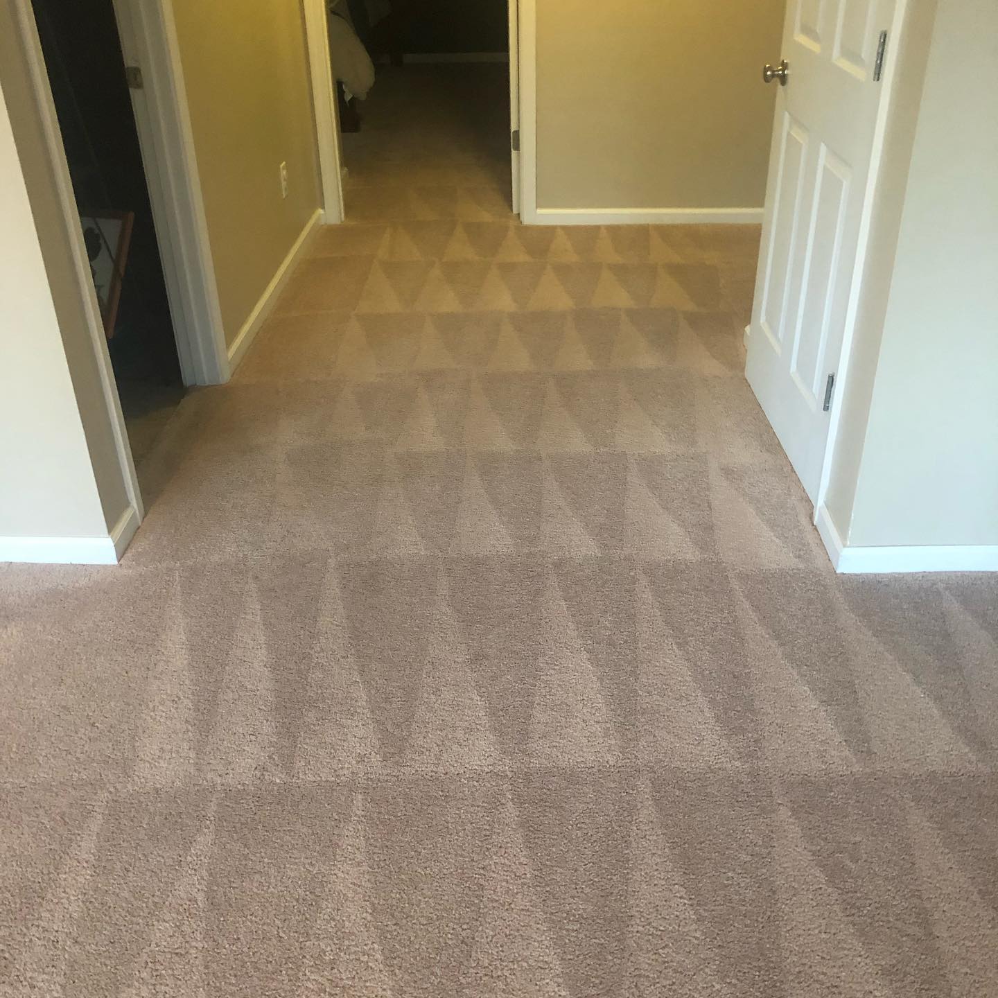 Cleaned hallway carpet with grooming lines